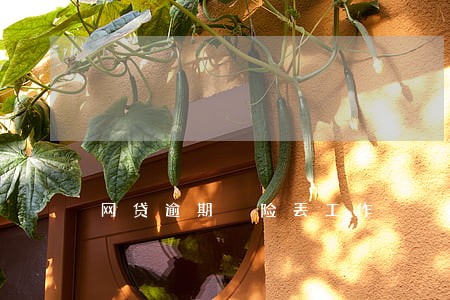 网贷逾期 险丢工作 网贷逾期 险丢工作